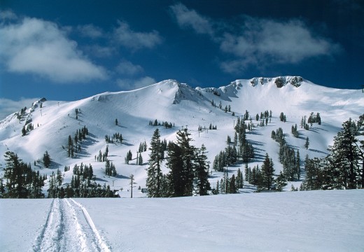 Late Season Snow, the Palisades,